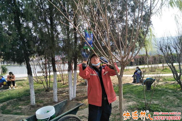 土壤貧瘠用什么補(bǔ)營(yíng)養(yǎng)？大樹(shù)營(yíng)養(yǎng)液精華推薦與果樹(shù)養(yǎng)護(hù)指南